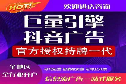 竞价广告投放技巧：如何提高转化率——案例分析